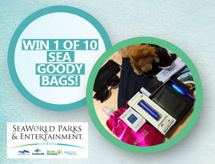 WIN an awesome goody bag!