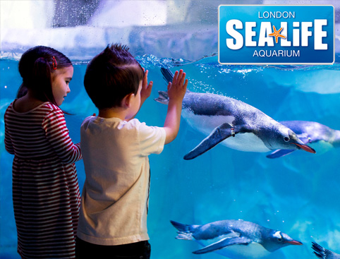 SEA LIFE London Aquarium