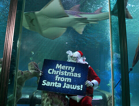 Blackpool Sea Life Centre